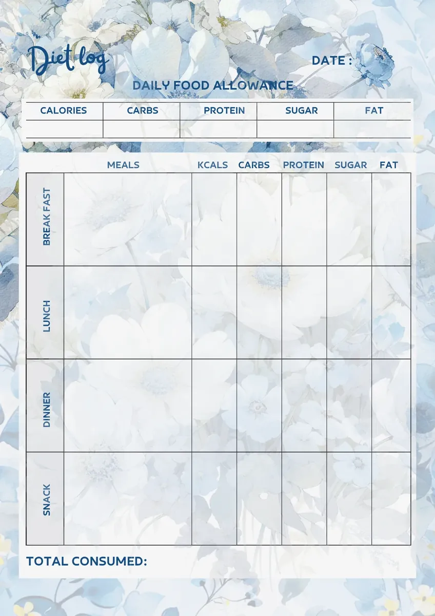 Monthly budget overview page in the blue floral budget planner